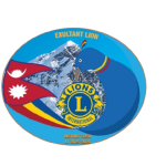cropped-DG_logo-removebg-preview.png